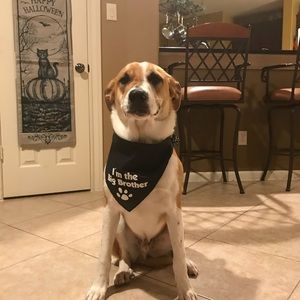 Meet your Posher, Tamara